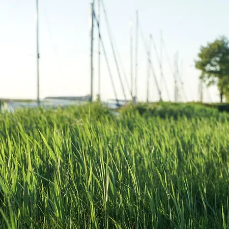 Haff Ostseeferienhaus Unteres *