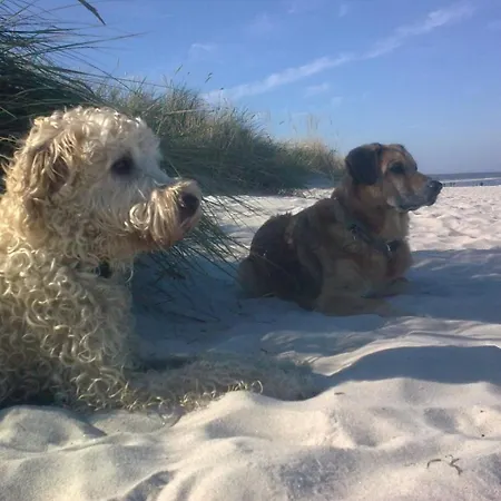 Haff Ostseeferienhaus Unteres Mönkebude