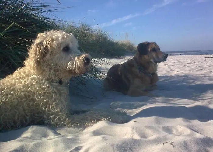 Haff Ostseeferienhaus Unteres Mönkebude